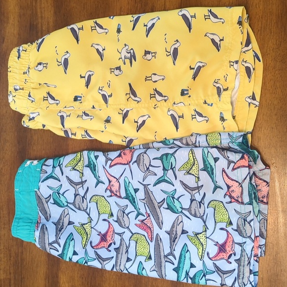 Boys Cat & Jack Swim Trunk lot - Picture 1 of 6